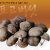 생표고버섯(참나무톱밥) 특품(2kg)